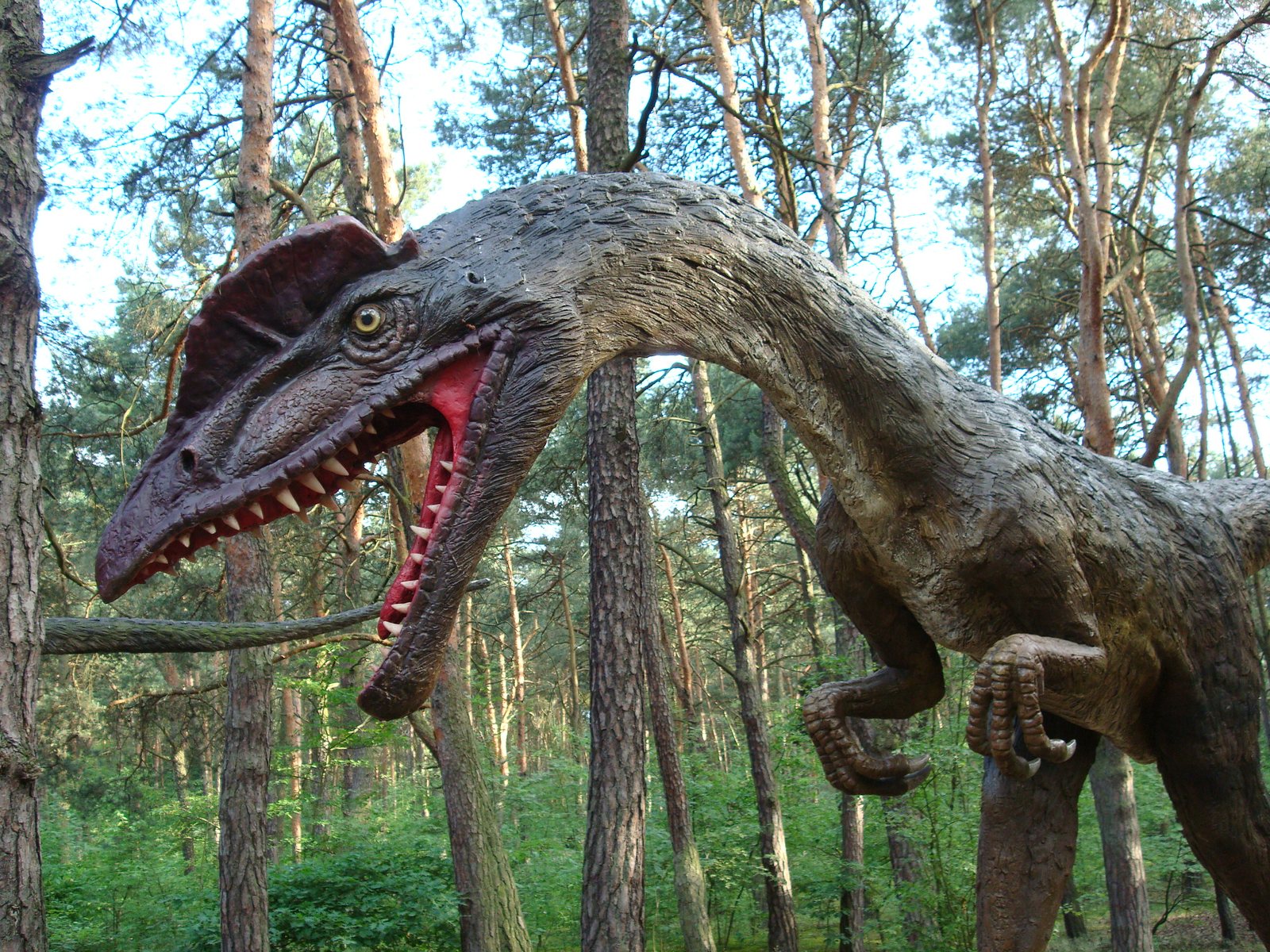 Raptor Head Close-Up — Silicone Detail