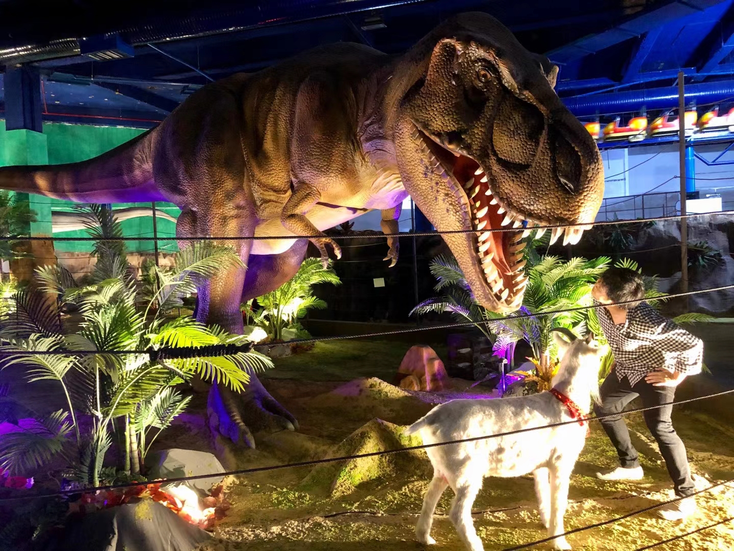 T-Rex Interactive Scene · Indoor Park