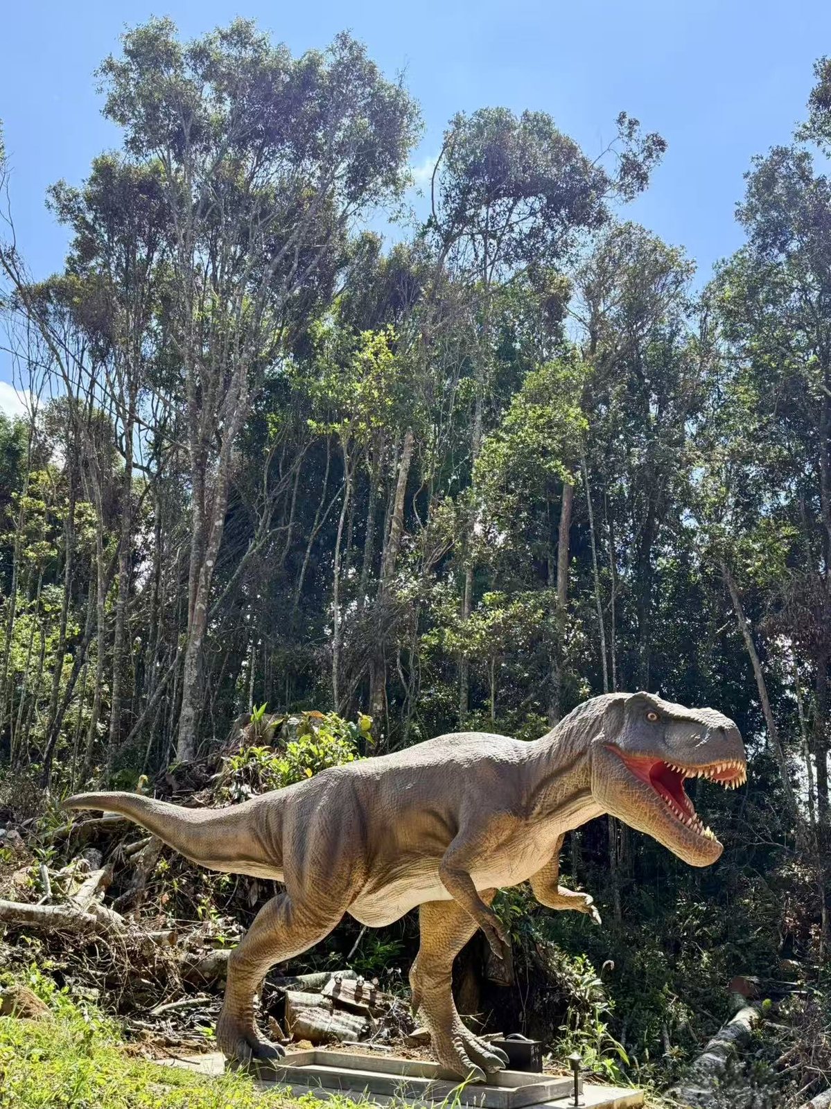 Daytime T-Rex on Hillside Trail