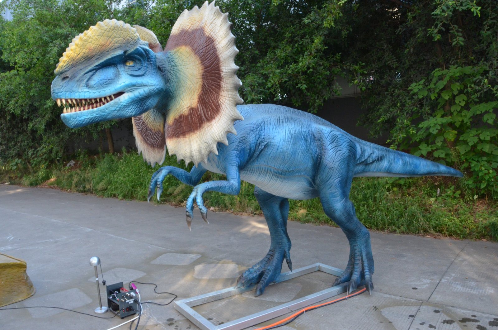 Dilophosaurus — Blue Colourway