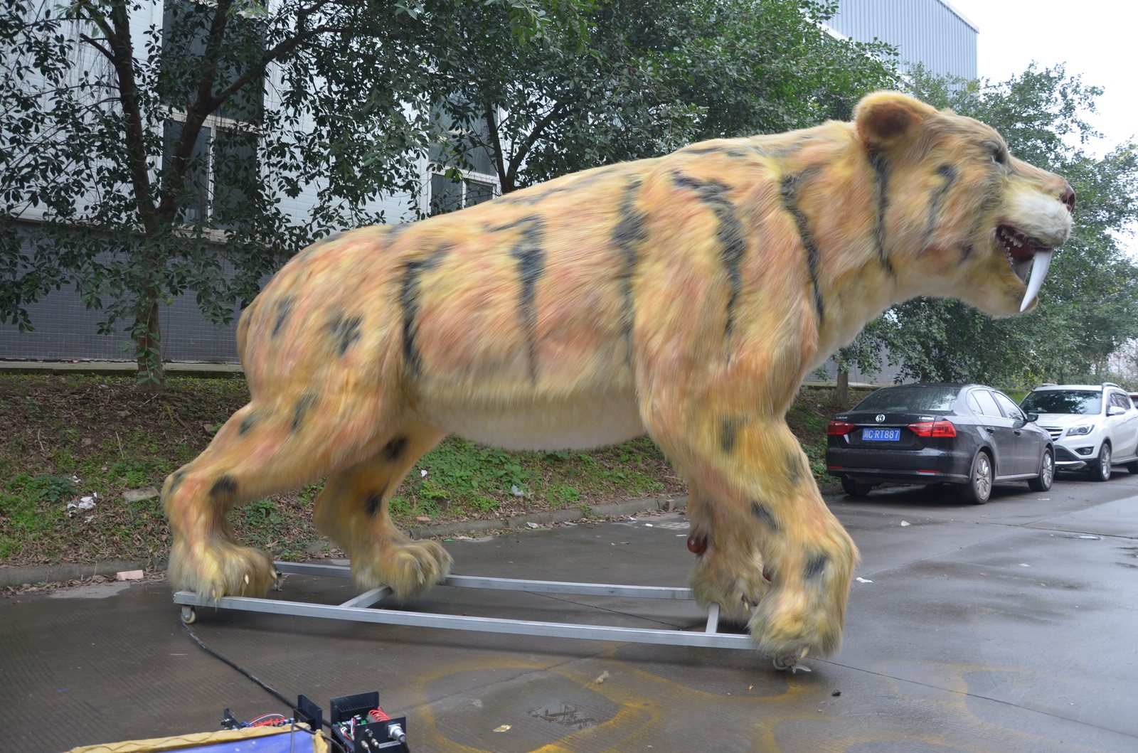 Sabre-Tooth Tiger — Side Profile