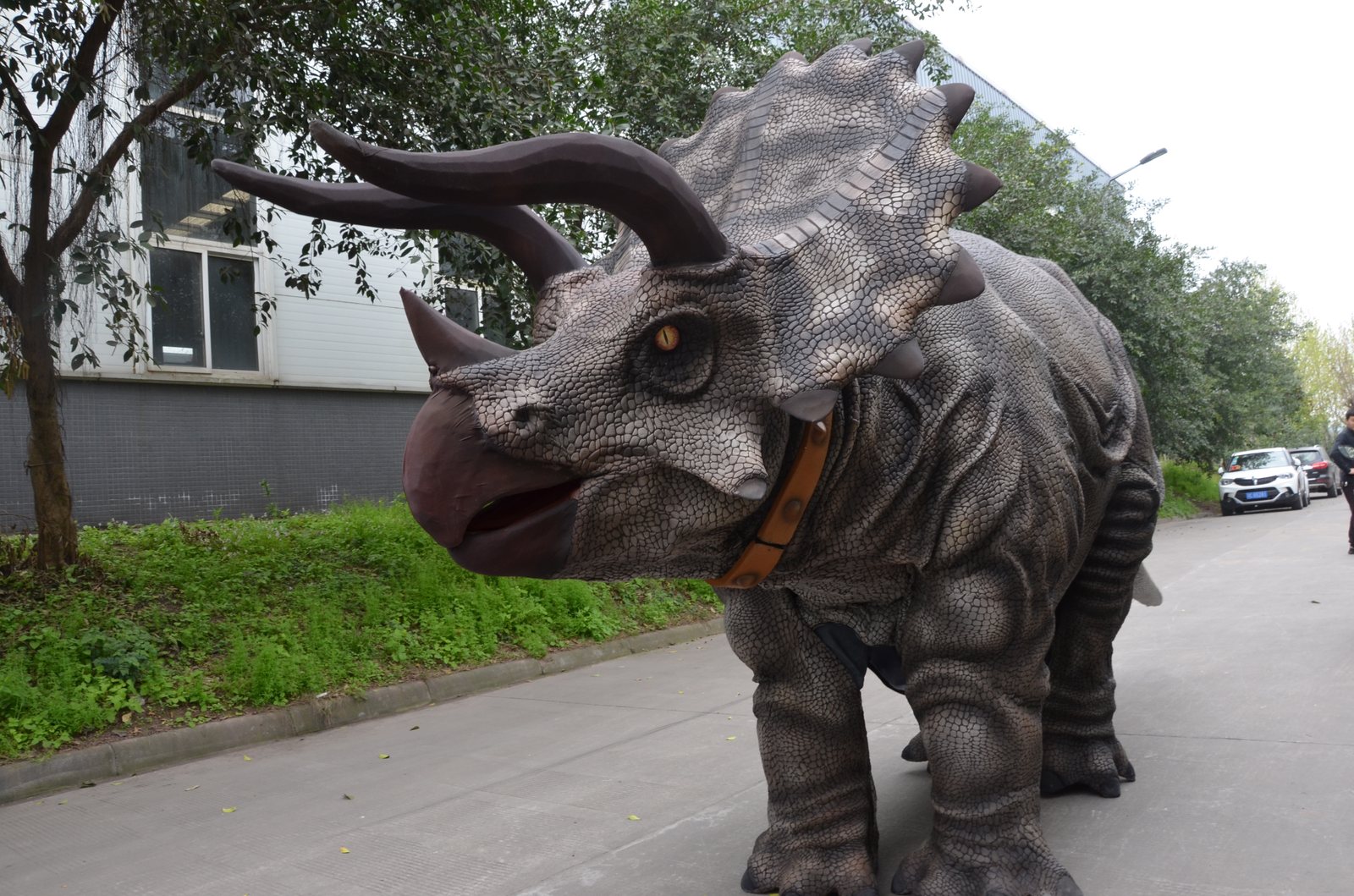 Walking Triceratops — Head Detail