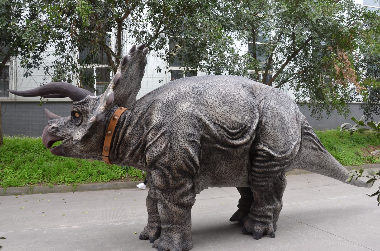 Walking Triceratops Costume — Grey