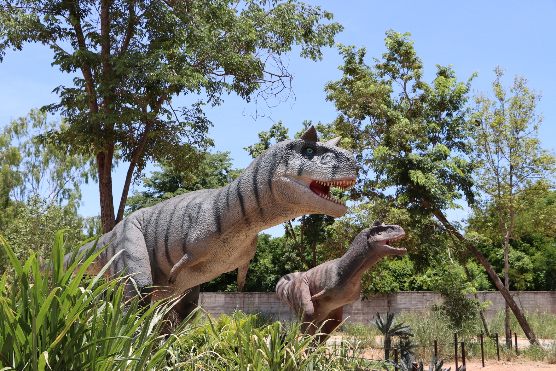 Live T-Rex Parent-and-Child Combo