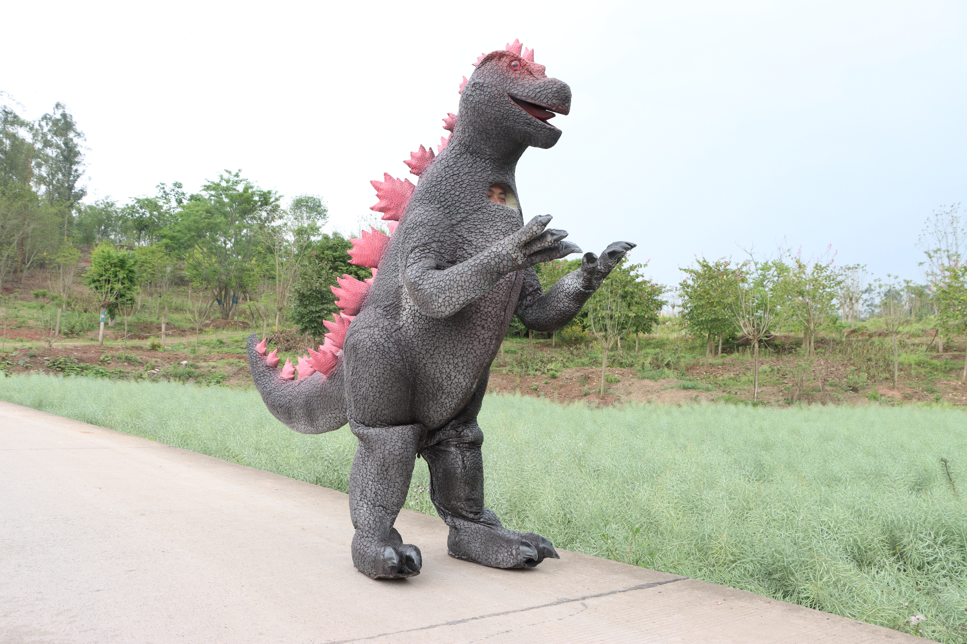 Pink-Spined Godzilla IP Customization