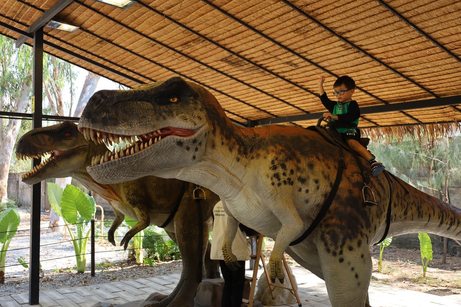 Dinosaur Cars