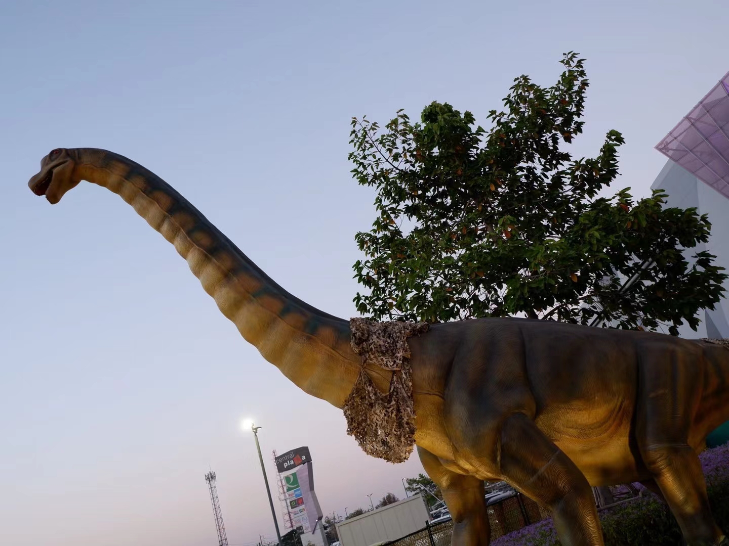 Brachiosaurus · Mall Plaza Installation