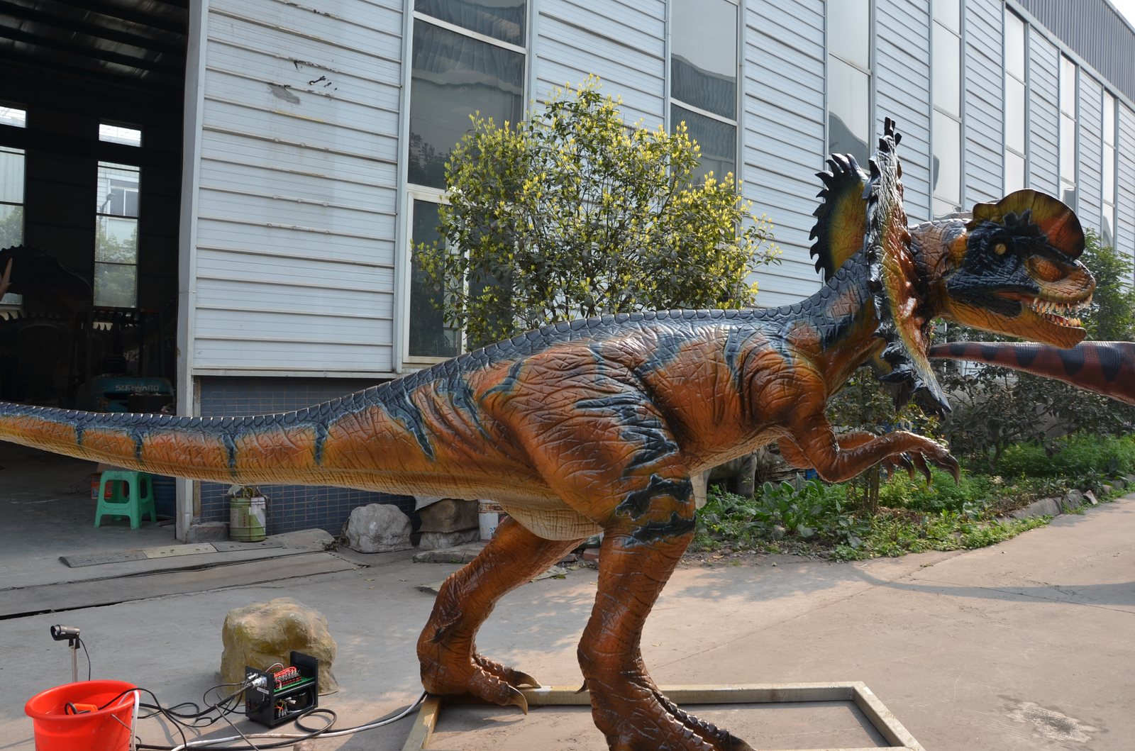 Dilophosaurus Full Body — Orange