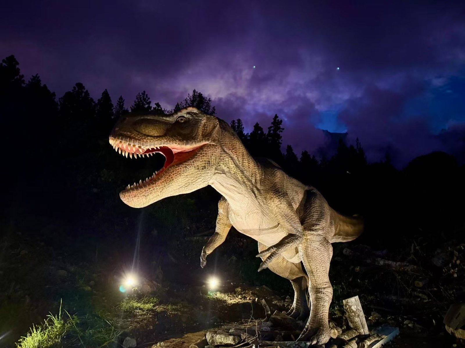 Night-Lit T-Rex Landmark, Forest Park