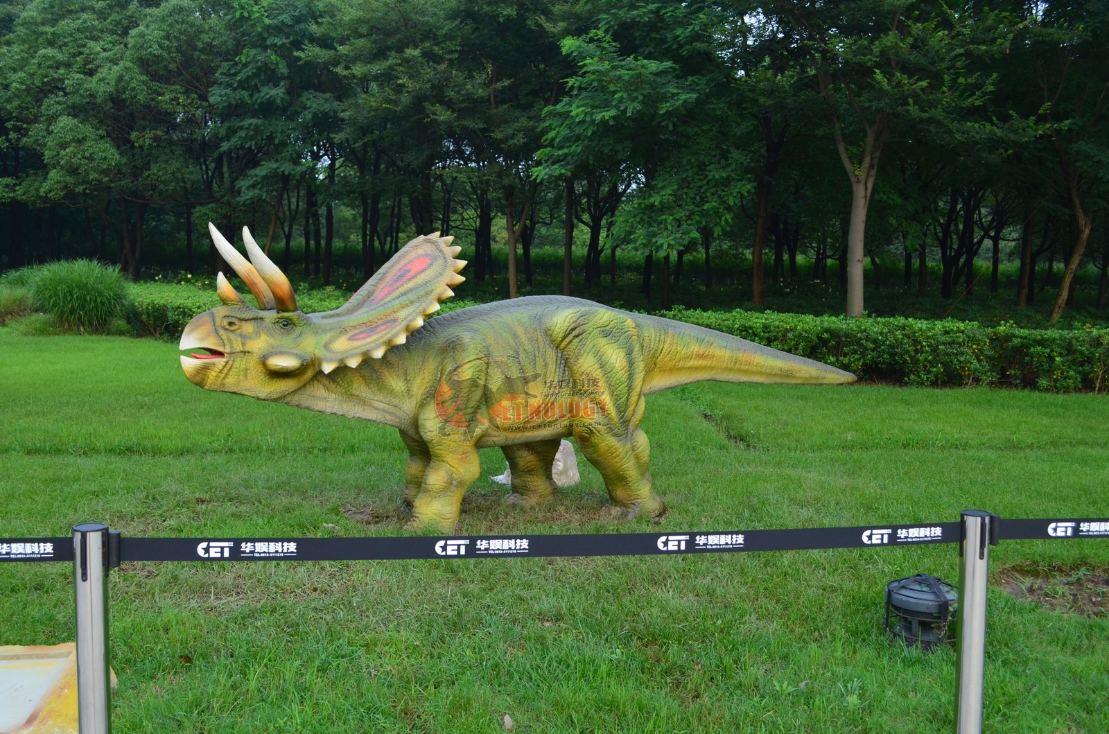 4 m Triceratops, Lawn Installation