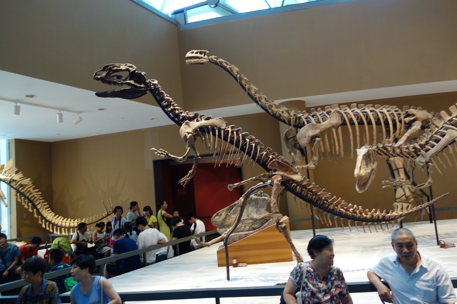 Museum Exhibits