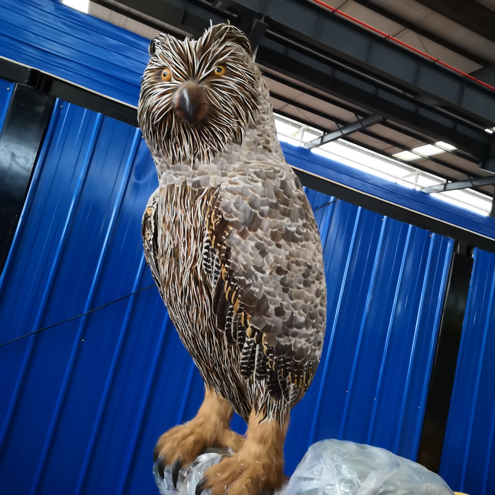 Giant Great Horned Owl