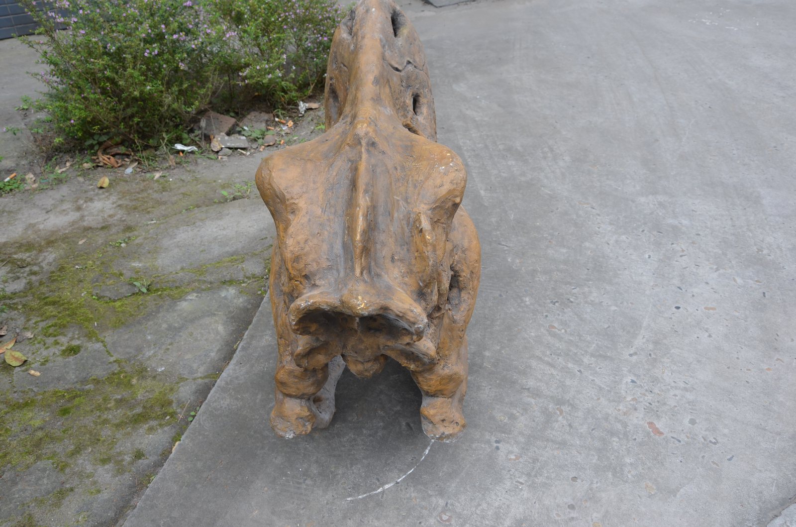 T-Rex Skull — Top View