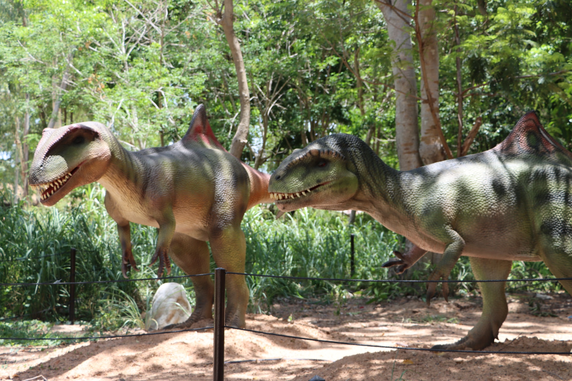 Live Spinosaurus Twin-Chase Scene