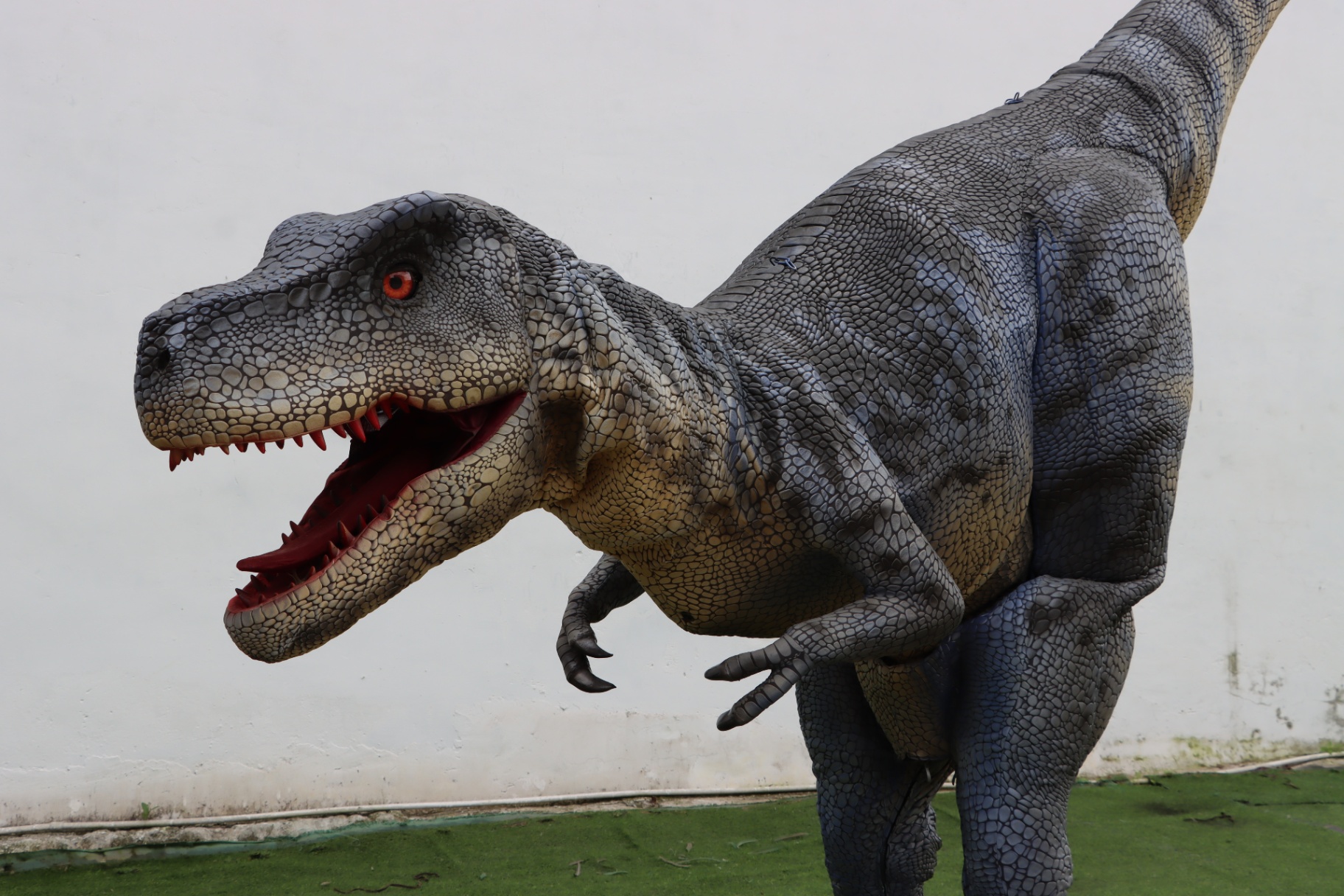 Grey-Black T-Rex Walking Costume