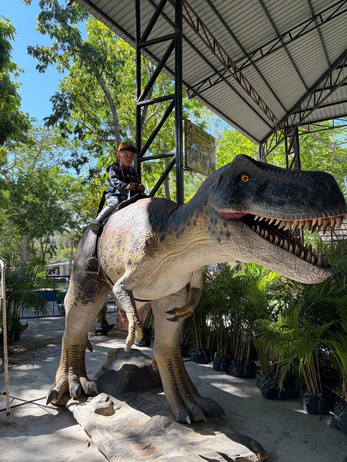 Rideable Raptor — Covered Venue