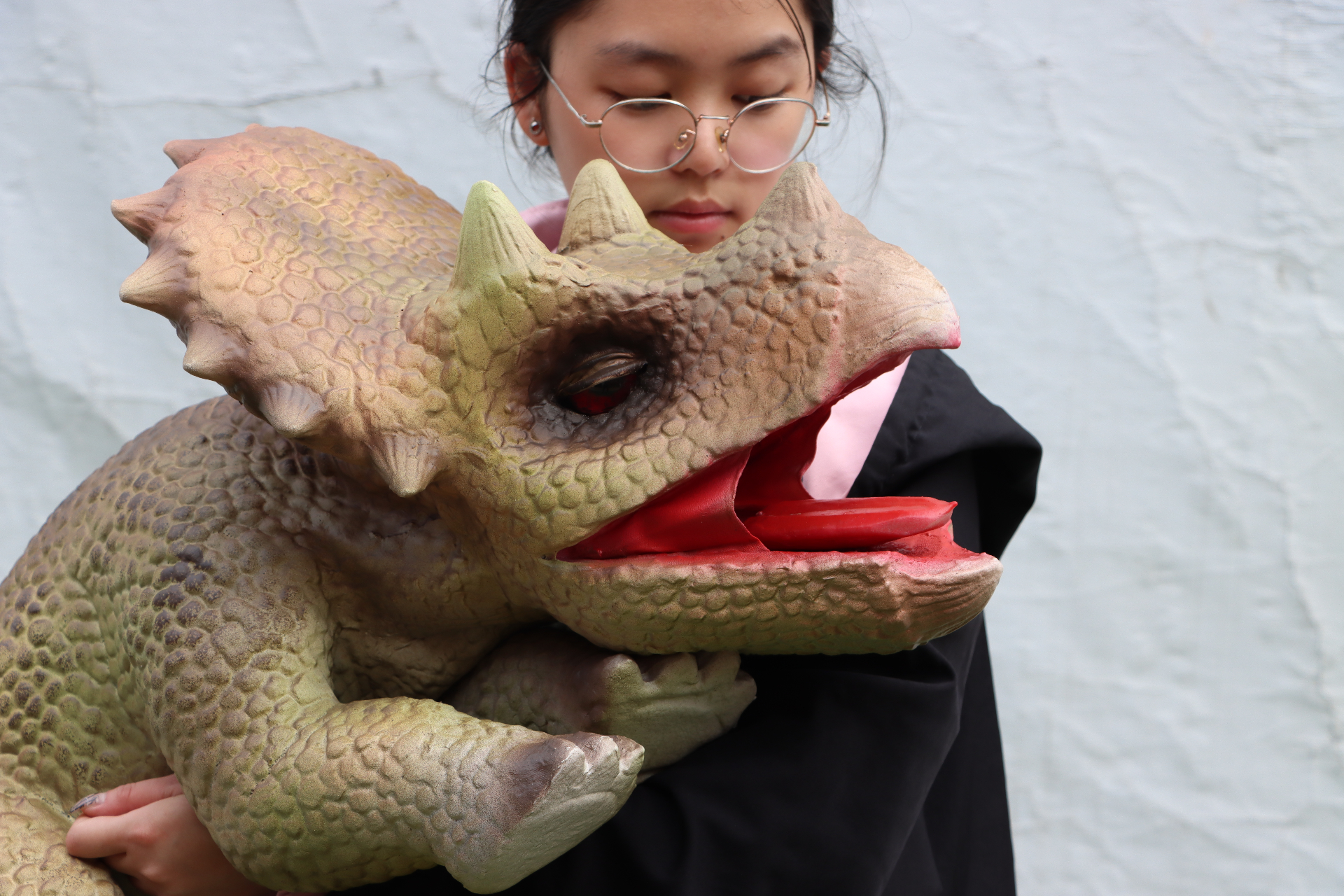 Roaring Triceratops Close-Up Puppet