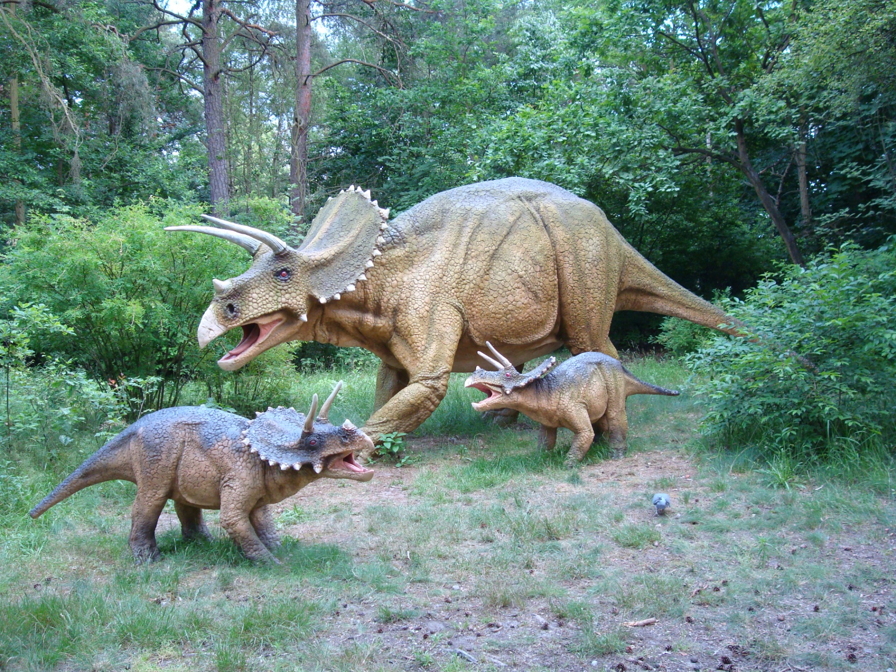 Triceratops Family Trio Scene