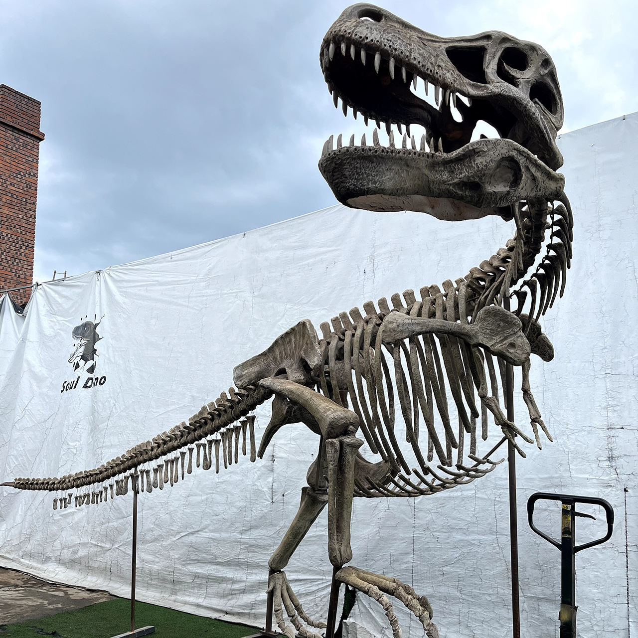 T-Rex Outdoor Skeleton Landscape