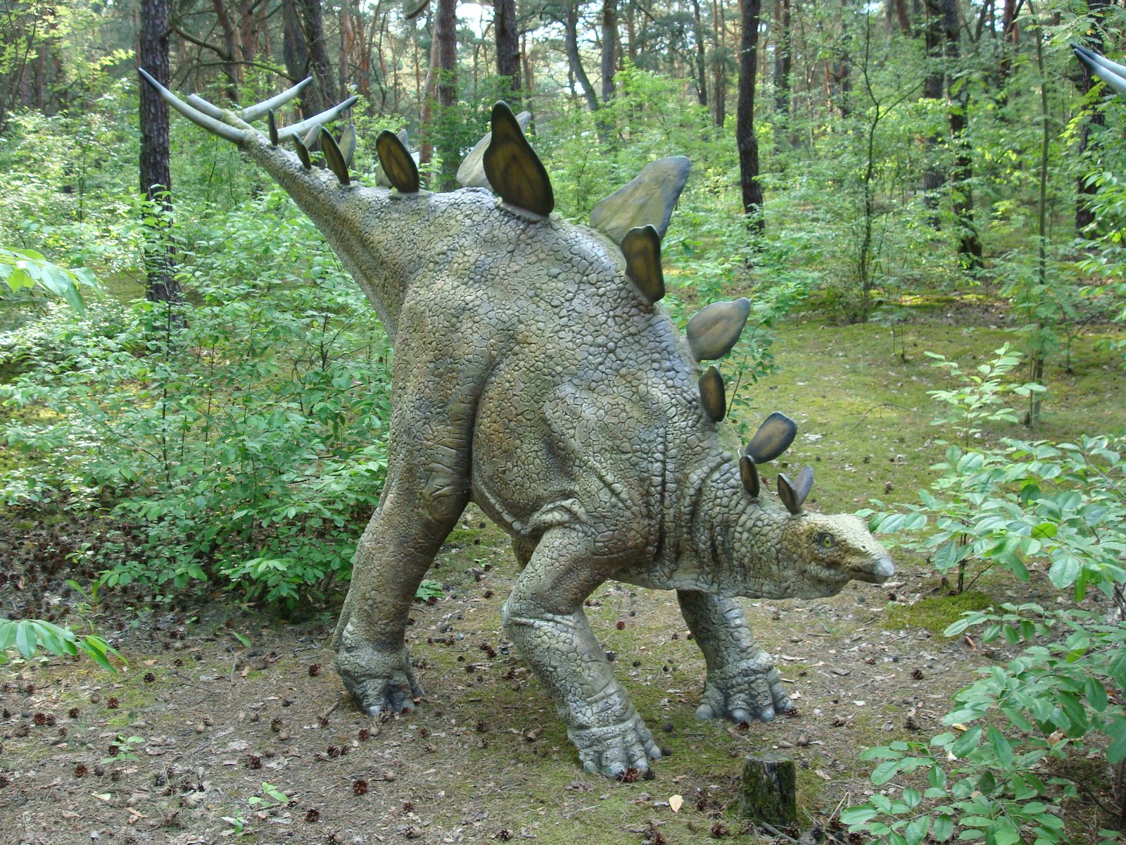 Stegosaurus, Woodland Habitat